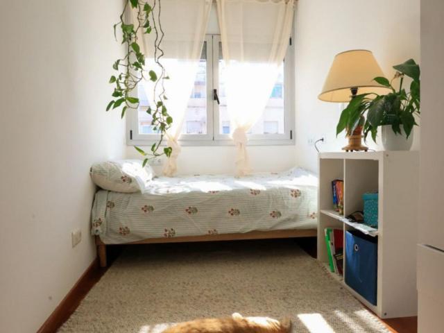 Bright single bedroom in El Congrés i els Indians