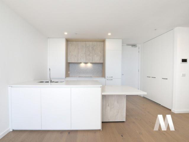 Bright & Spacious Designer Apartment