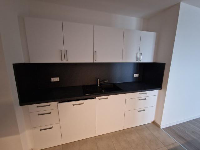 Bright & spacious suite, Berlin Amsterdam Apartments for Rent
