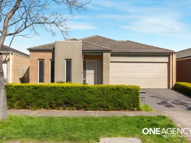 Bright, Spacious & Sustainable: Dual Zone Family Living in Saltwater Coast Zone!