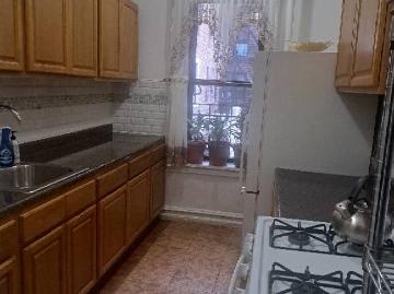 Flatbush, New York city, New York, USA