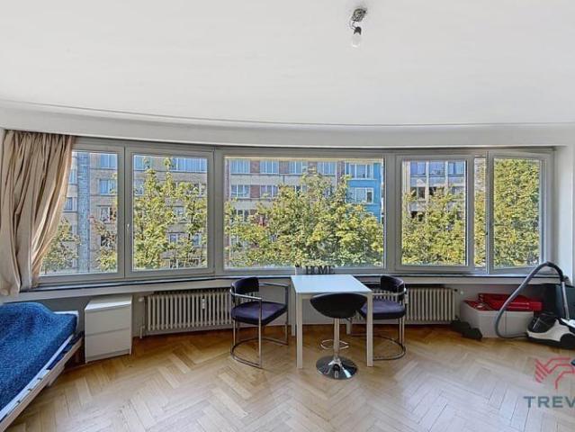 Bright studio apartment