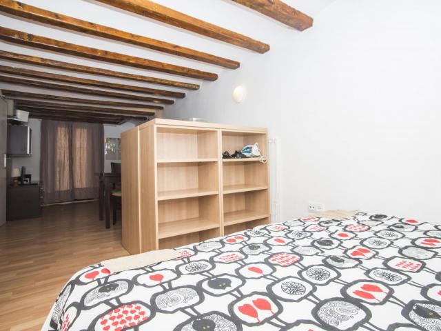 Bright studio close to the Arc de Triomf metro station