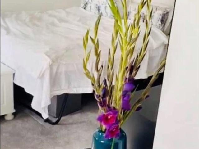 Bright studio flat