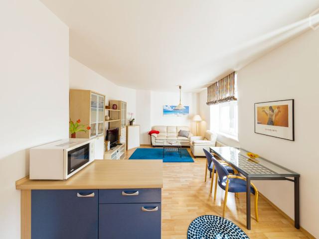 Bright studio in Dresden, Dresden Amsterdam Apartments for Rent