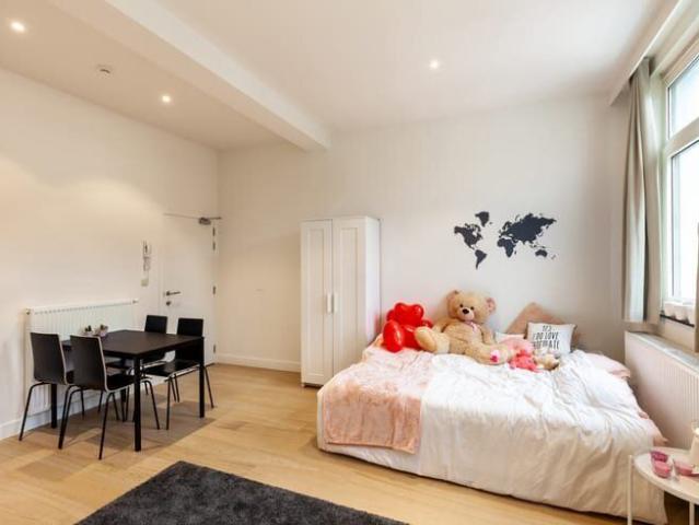 Bright studio with a view of the Dijle River