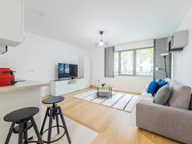 Bright studio 19th arrondissement of Paris