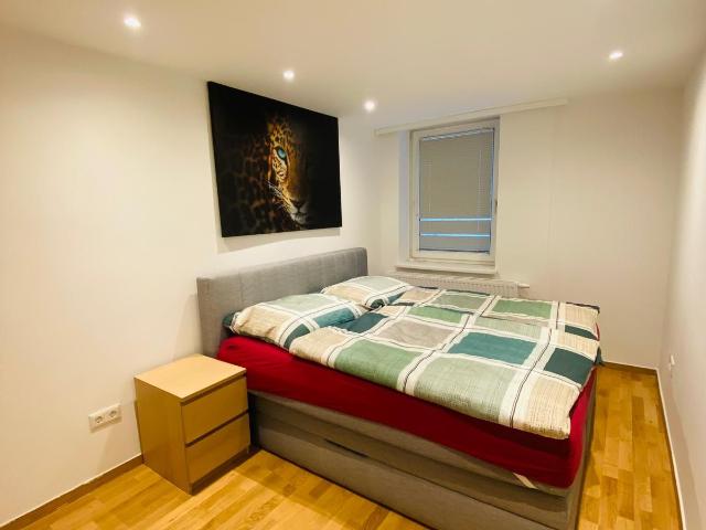 Bright suite close to city center