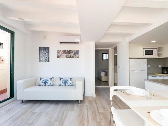 Bright Penthouse with Private Terrace on Passeig del Born