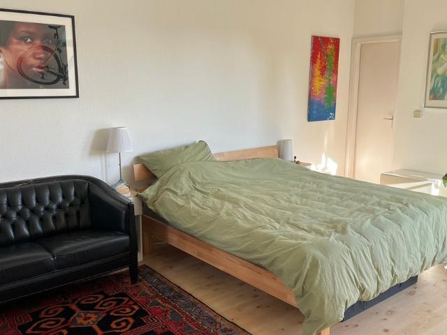 Bright Penthouse with Two Balconies, Home Cinema & Excellent Berlin Connection, Berlin Amsterdam Apartments for Rent
