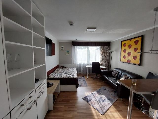 Bright, perfect flat in Frankfurt am Main, Frankfurt Amsterdam Apartments for Rent