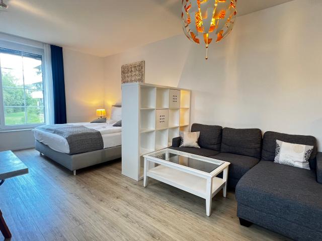 Bright, perfect suite in Blaustein