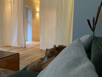 Waldhof, Frankfurt - Garten