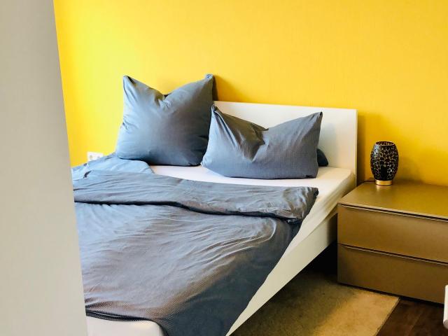 Bright & Quiet apartment in middle of Dresden, Dresden Amsterdam Apartments for Rent