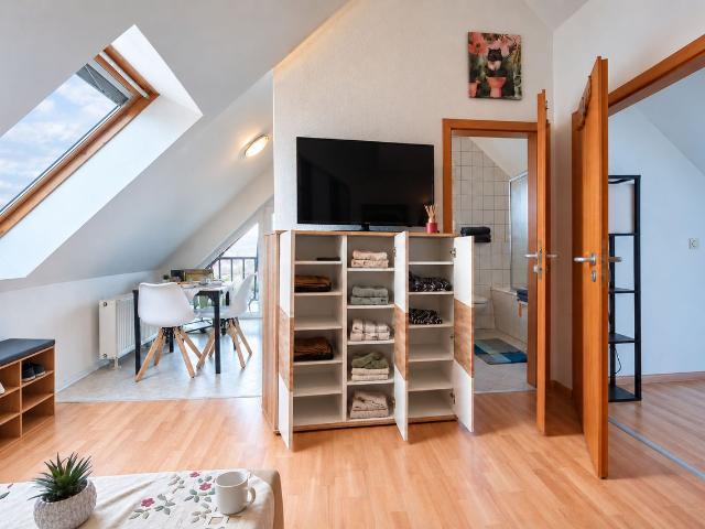 Bright, Quiet One Bedroom Top Floor Apartment in Leipzig near Trade Fair & BMW Parking Included, Leipzig Amsterdam Apartments for Rent