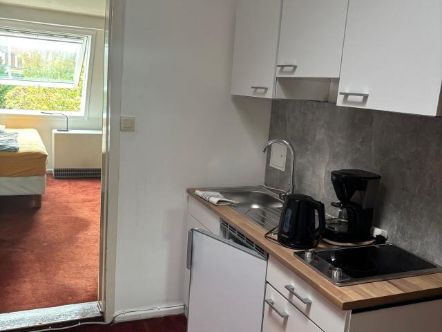Bright quiet studio in historic villa, Berlin Amsterdam Apartments for Rent