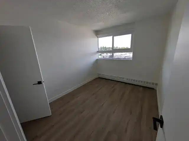 Bright, Unfurnished Room in Newly Renovated Inner SW Home