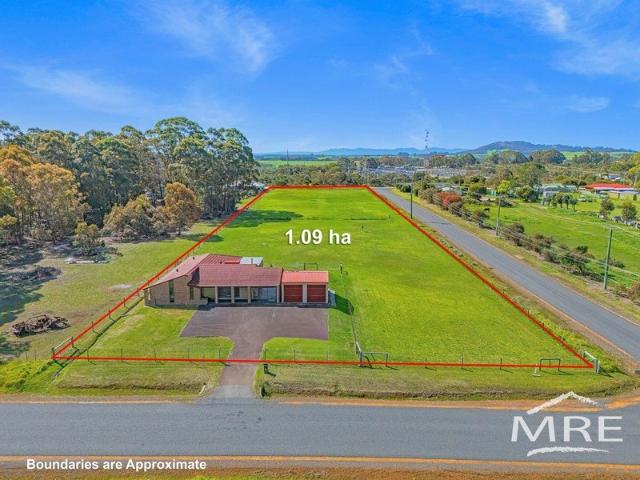 BRING THE HORSE, THE CHOOKS AND THE DREAM!