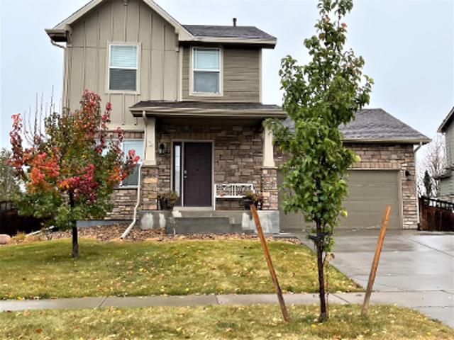 Bristlecone St