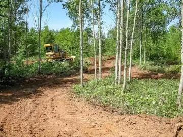 Bruce Point Road, Launching, PE, C0A 1G0 vacant land for sal.