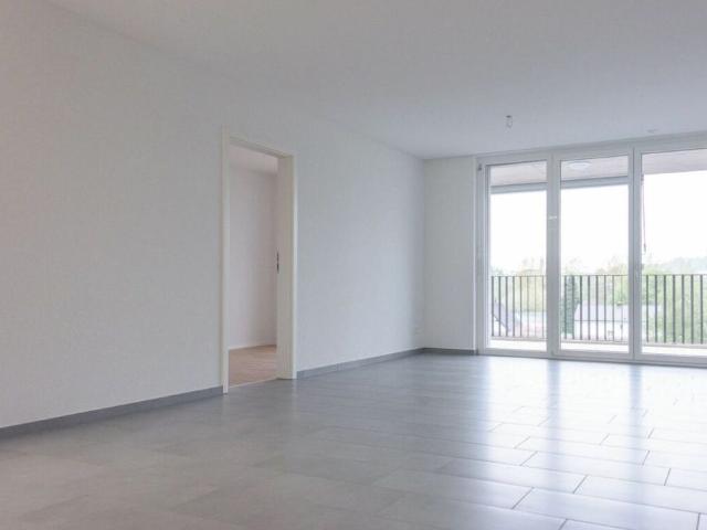 Brugg / 2.5 room apartment 3.3