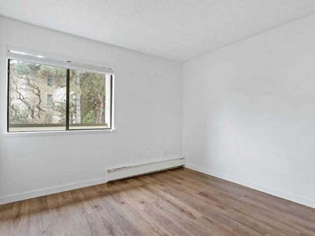Brunswick Apartments 1 Bedroom Apartment for Rent at 396 2nd Ave E, Vancouver, BC V5T 4L4 Mt. Pleasant