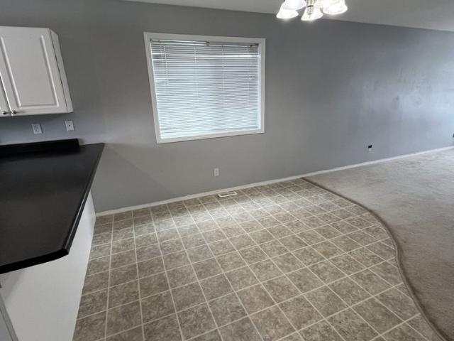 BRUNTON DUPLEX 8811/8813 8813