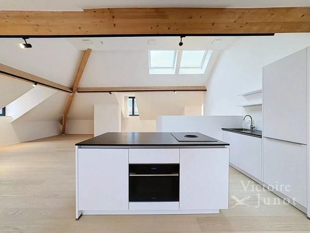Brussels City Center Beautiful 2 bedroom Penthouse