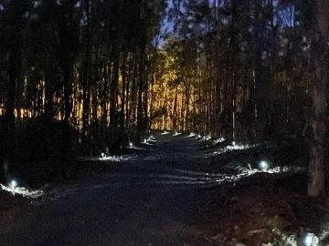 Good Night, Bundaberg Regional, Mud Island, Queensland