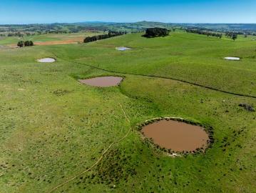 Bundaleer Prime grazing land with outstanding views