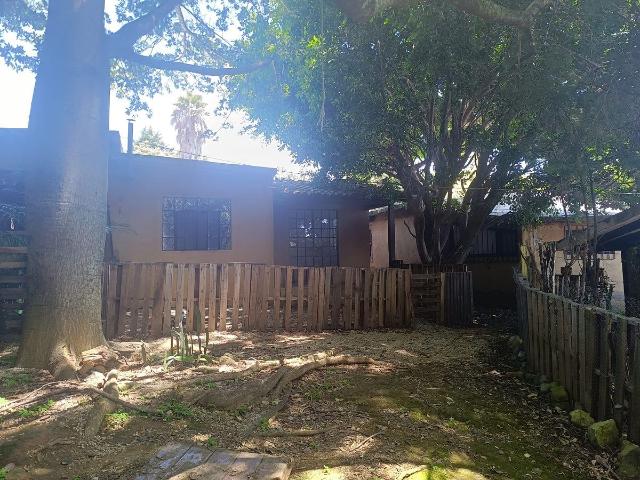 BUNGALÓ INDEPENDIENTE EN RENTA