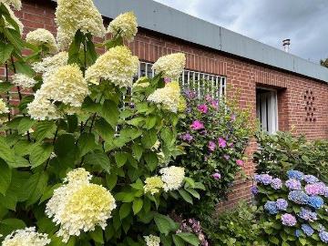 Bungalow, barrierefrei, Düsseldorf Nord, provisionsfrei