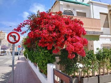 Bungalow en venta en Santa Pola, Alicante Costa Blanca