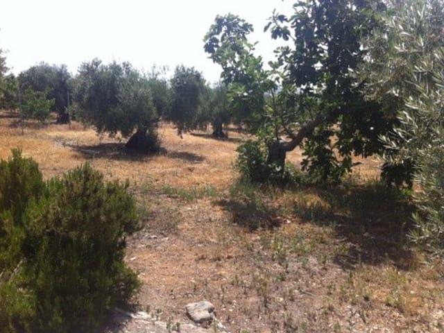 Bungalow en venta en San José de la Rábita, Jaén