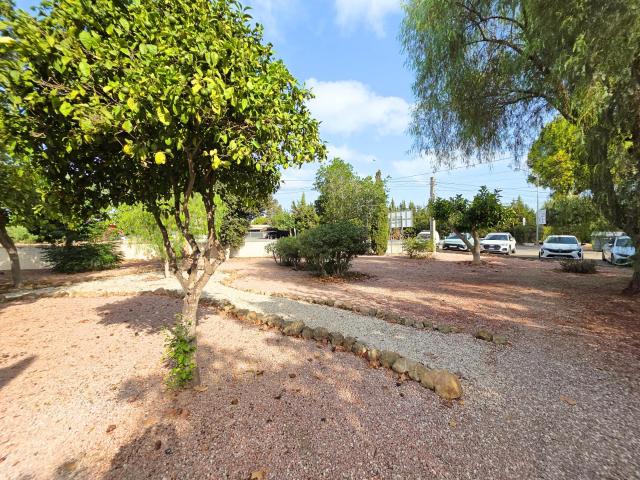 Bungalow en alquiler en Guardamar del Segura Alicante