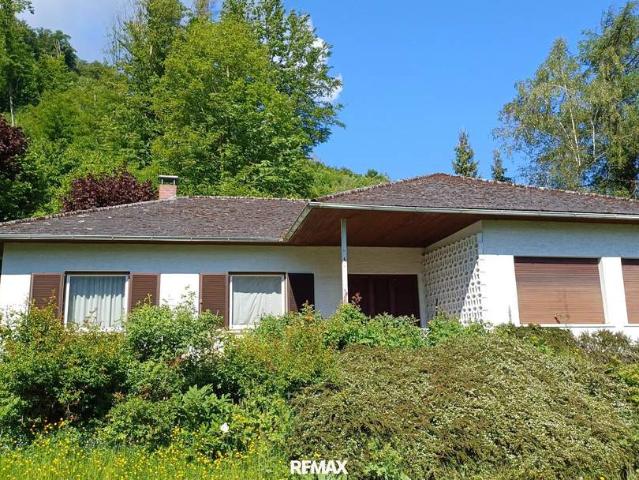 Bungalow mit Donaublick