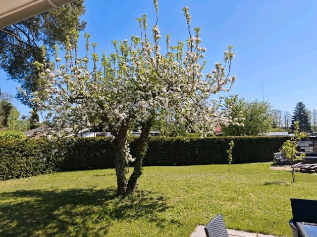 Bungalow mit Sauna & kamin provisionsfrei ohne Makler