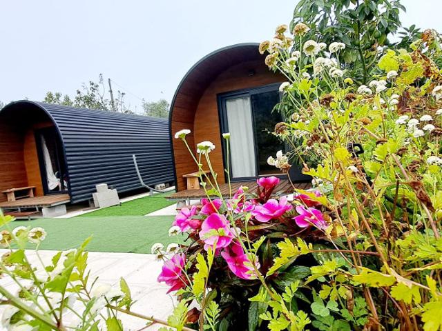 Bungalows Quinta dos Abacates