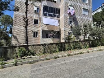 Buca, İzmir ili, Ege Bölgesi - Balkon, Televizyon