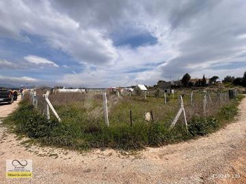 Karacaağaç, Buca, Buca, İzmir ili, Ege Bölgesi