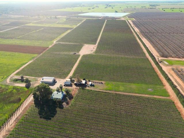 'BUCCHERIS' 24.27ha/60ac* Retirement Beckons