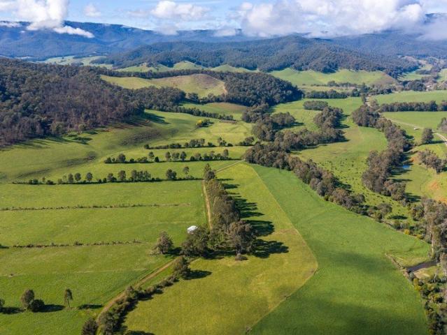 'Bucheen Aggregation' A Unique Mixed Farming Opportunity