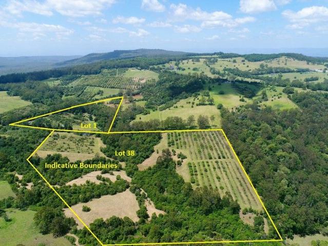 Buckamara Lifestyle and Horticultural Farm in the Heart of Ravensbourne