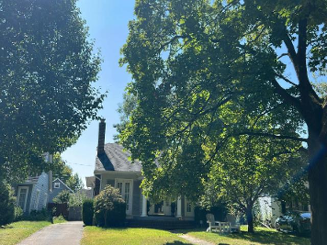 Buckingham Dr