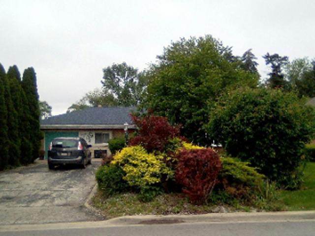Buckthorn Ln