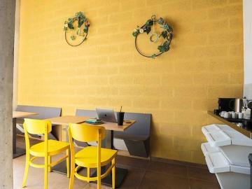 Crissier, District de l'Ouest lausannois, Waadt