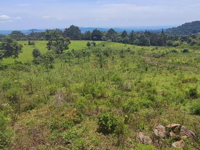 Buen Terreno de 3,6 hectareas con buenas vistas