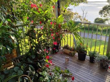 Tuggerah Lake, Jilliby, Wyong Region, Snapper Island