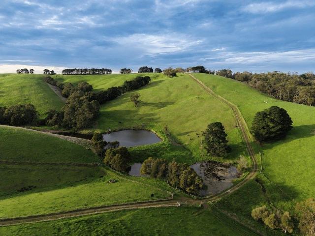 Buffalo Grazing, Elevated Views | 112 acres