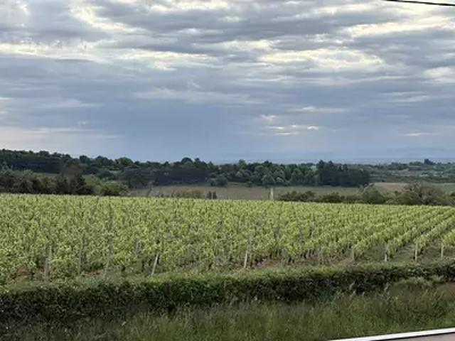 Buffières 71250 Programme neuf maison neuf à vendre 5 pièces